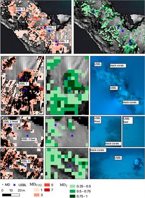 Can black coral forests be detected using multibeam echosounder “multi-detect” data?